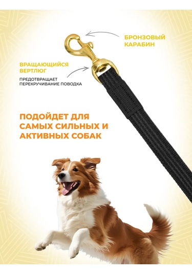 Zooone Profesyonel Karabinalı, Lateksli, 20mm 3m Tasma 138565530 Siyah