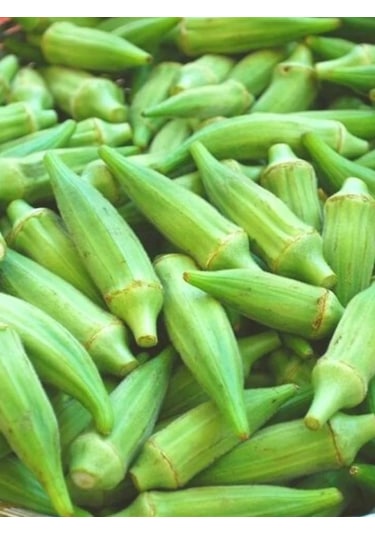 +100 Adet Sultani Bamya Tohumu