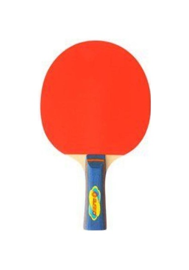 Busso Bs1803 Masa Tenisi Raketi Hudson