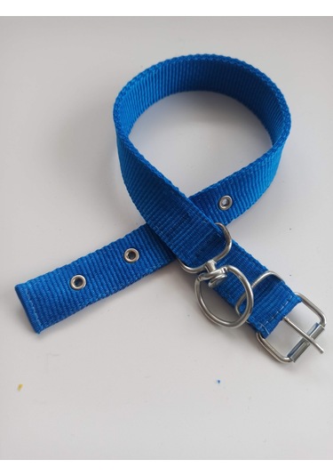 Kozaklı Küçük Irk Köpek Tasması Mavi 50 x 2.5 CM Mavi