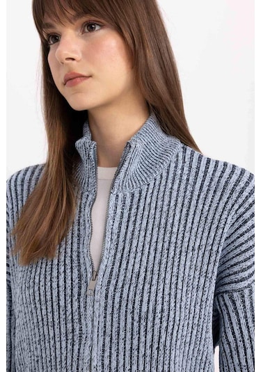 DeFacto Regular Fit Dik Yaka Fermuarlı Triko Hırka C3696AX24SPNV207 Lacivert DeFacto Regular Fit Dik Yaka Fermuarlı Triko Hırka C3696AX24SPNV207 Lacivert