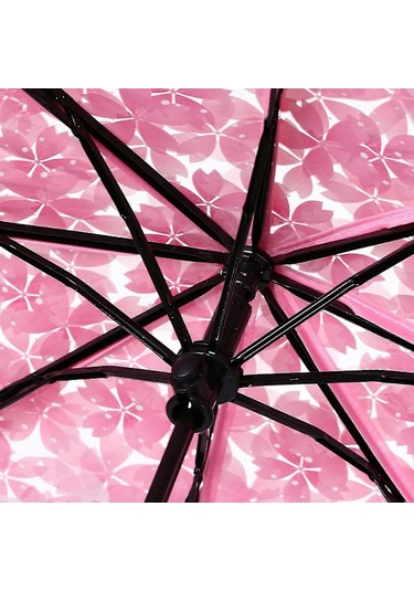 Şeffaf Şeffaf Şemsiye Pk Diğer