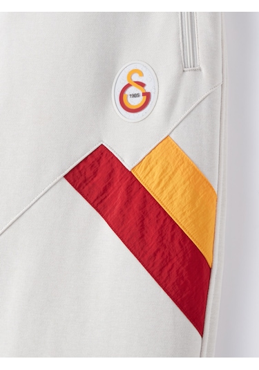 Galatasaray Erkek Eşofman Alt E251113 Gri