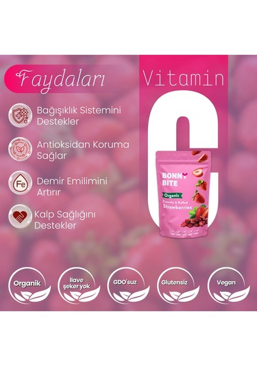 Kurutulmuş Çıtır Çilek Atıştırmalığı 10'lu Paket 18gr 10 Diğer
