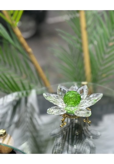 Elara Dekoratif Ayaklı Lotus Gold