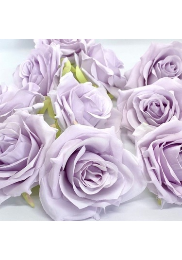 Tüplü Yediveren Eflatun Renk Lila Salzburg Yoğun Kokulu Gül Fidanı