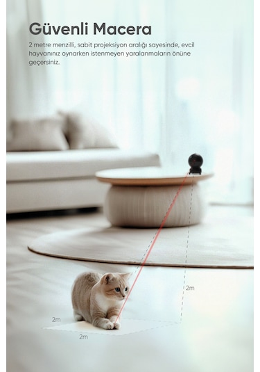 Şımart Akıllı Kedi Oyuncağı