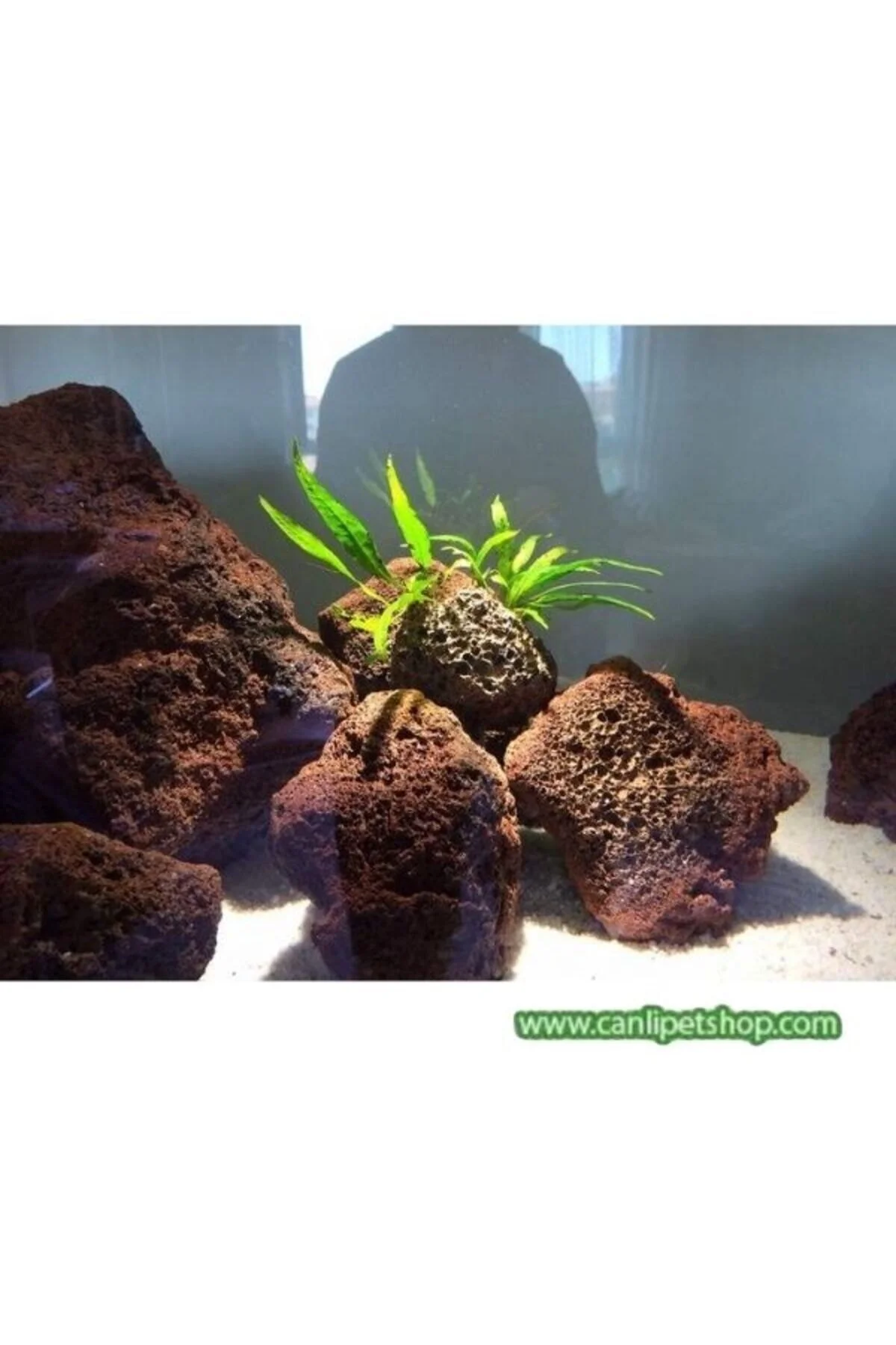 Dekoratif 10 Adet Doğal Lav Kaya Turuncu 8x10