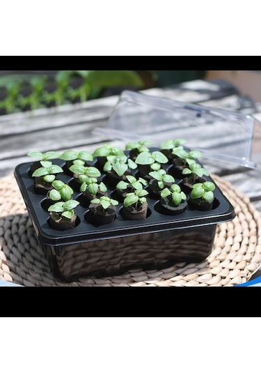 Suntek Kapalı Bahçecilik Fide Yetiştiriciliği Için Tohum