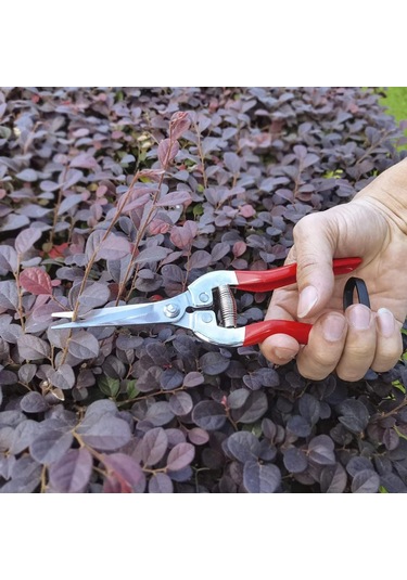 Bahçe El Makası Bahçe Makas Budama Makası Mikro-ucu Budama Snips