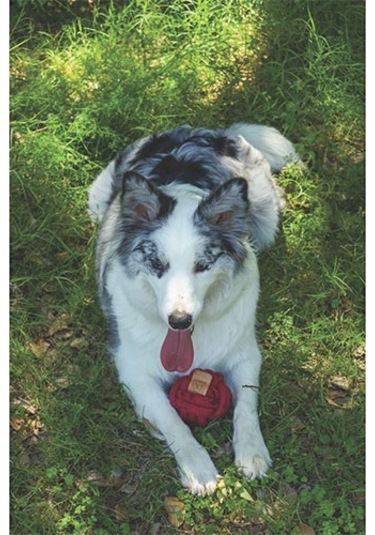 M-pets Coto Red Ball Örgü Top Köpek Oyuncağı 9,5 Cm 244-50007.01