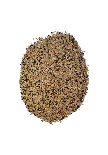 3 KG Özel Karışık Kanarya Yemi