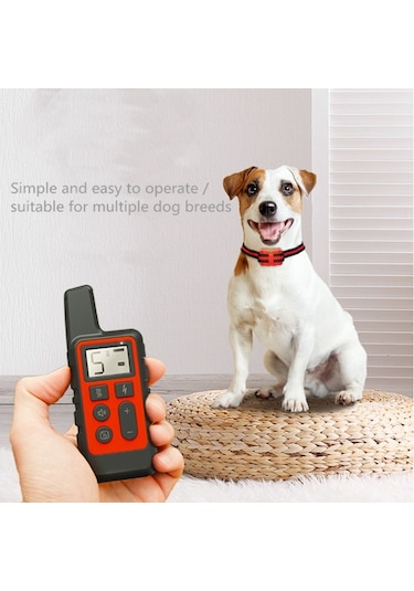 Köpek Eğitim Uzaktan Kumanda  Elektronik Yaka Kırmızı