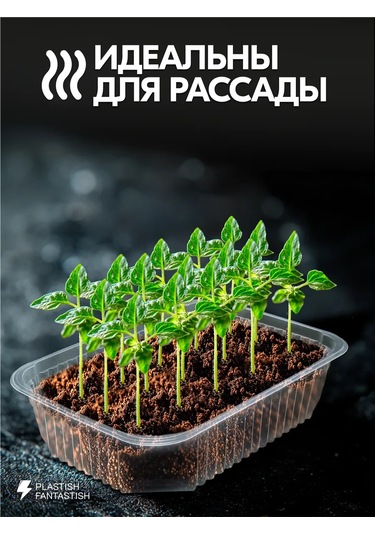 Plastish Fantastish Kapaklı Tek Kullanımlık Yemek Kapları 750 Ml 30 Adet 126040065 30