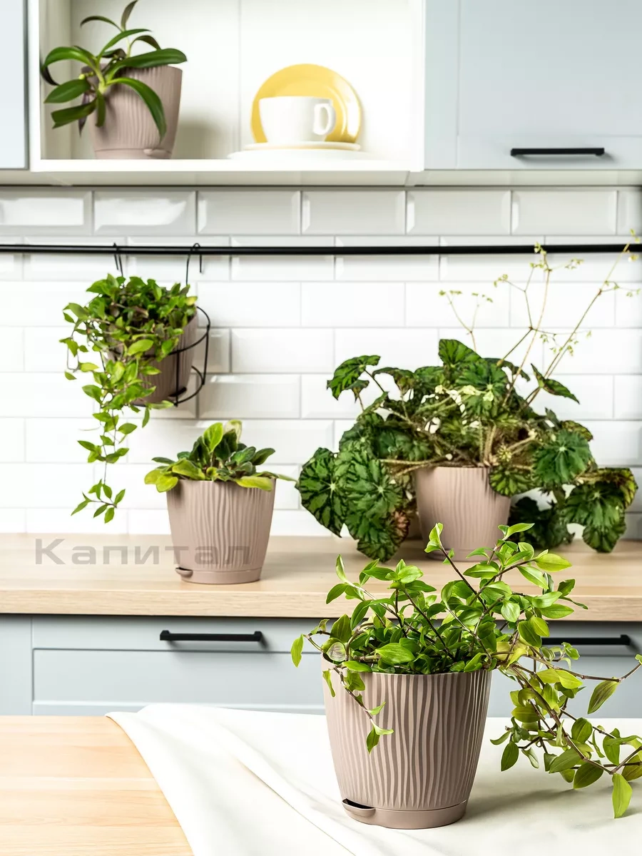 Al' Ternatıva Çiçek Saksısı 0,7 L, 6 Adet 263708845