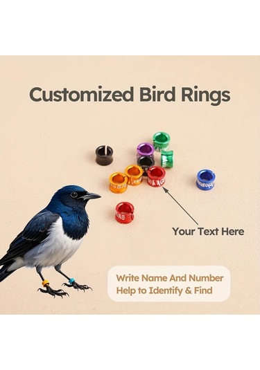 Elmpaly 10 Adet Alüminyum Kuş Bileziği 4.7 Mm Rastgele Renk Dayanıklı Kişiselleştirilmiş Kuş Eğitimi