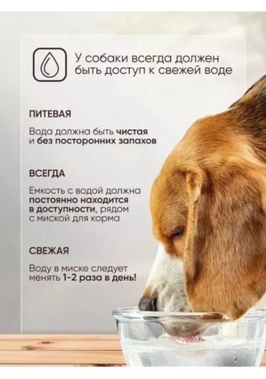 Boni Elıt Platin 6 Et Karışımlı Köpek Maması 277479560