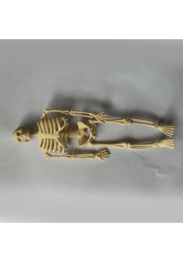 Homyl Cadılar Bayramı İskelet Figürleri Kafatası Heykelleri 14cm