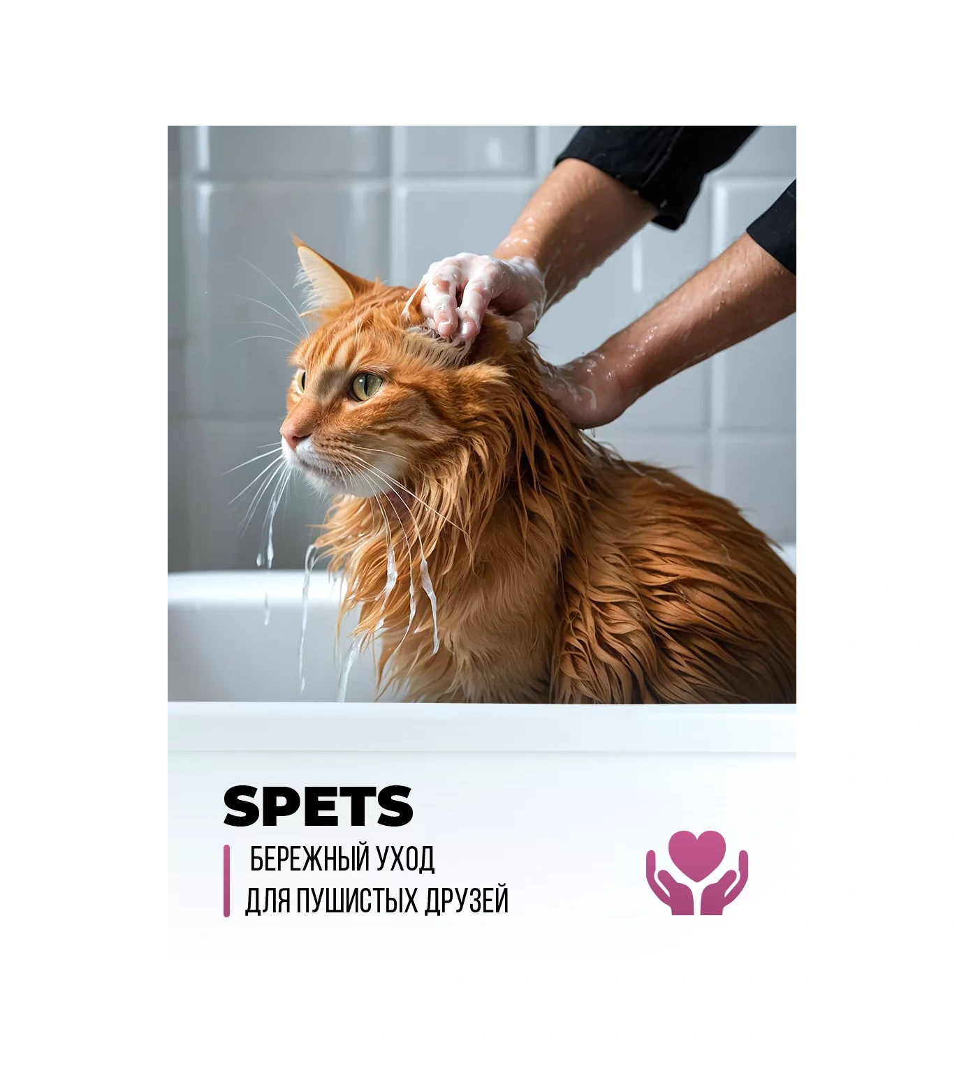 Spets Uzun Tüylü Kediler İçin Hipoalerjenik Şampuan 250 Ml 223296776