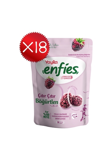 Yayla Enfies Freeze Dried Böğürtlen 15 G X18 270 G