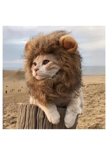 Traje Den Kedi Kostümü Aslan Yelesi