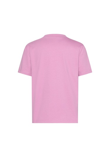 A- Inst Logo Classıc Tee Ss Kadın Pembe T-shirt Pembe