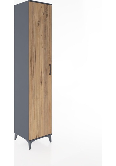 Hyperion Dolap 3 Raflı Tek Kapaklı 44x44x221 Antrasit-çam Antrasit