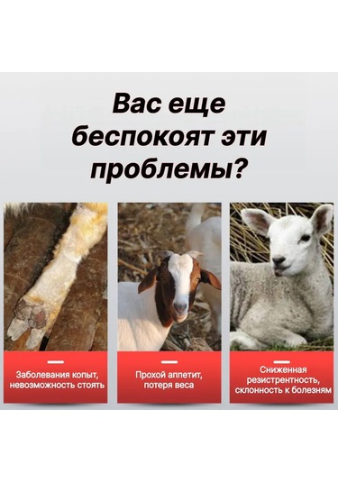 Youmex Japon Geliştirilmiş Bahçe Budama Makası - V1 Kırmızı Gri Kollu Zor Dal Kesim, Hasat Ve Aşıcı Çift Taraflı Güçlü Bıçak Opp Paketli