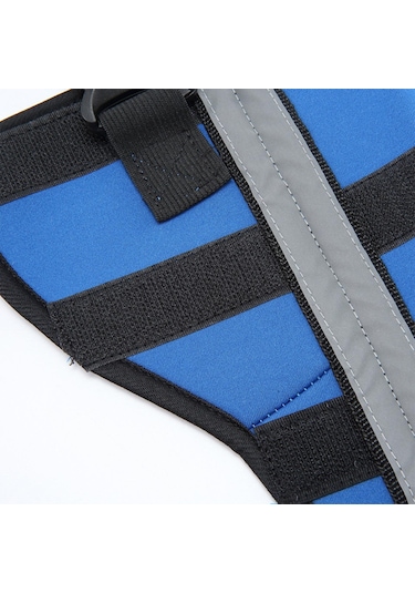 Homyl Pet Köpek Bacak Brace Arka Sıkıştırma Wrap M-mavi