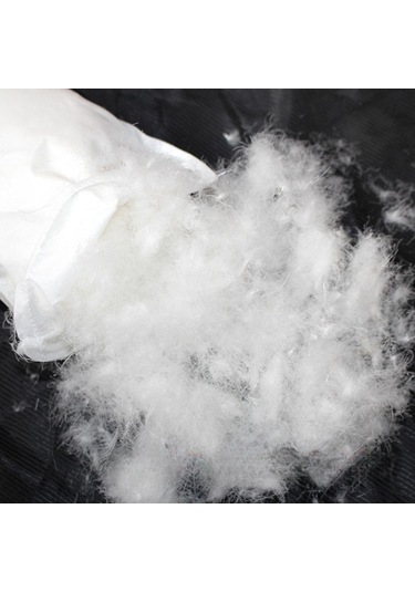 Suntek Erkekler Kadınlar İçin Aşağı Gül-kırmızısı Gül Kırmızısı Çok Renkli