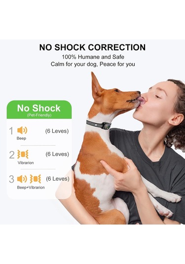 Geeroyoo Akıllı Renkli Ekranlı Otomatik Köpek Eğitim Kolyesi, Titreşimli Havlama Önleyici, Su Geçirmez Siyah