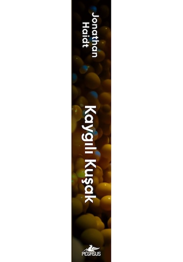 Kaygılı Kuşak: Çocuklarımızı Sanal Dünyaya Nasıl Kaptırıyor Ve...