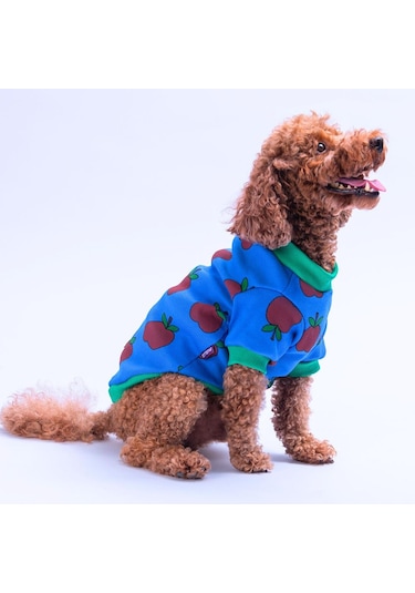 Apple Kaşkorse Elma Desenli Sweat Kedi Köpek Sweat Kedi Köpek Kıyafeti