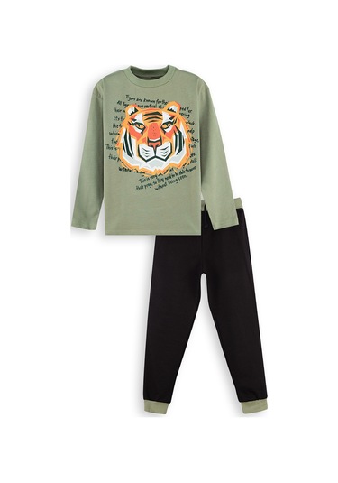 Denokids Kaplan Erkek Çocuk T-shirt Pantolon Takım Renkli