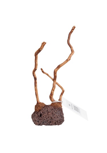 Chicos Doğal Lavtaşı Zemin Ahşap Dekor 8-10cm