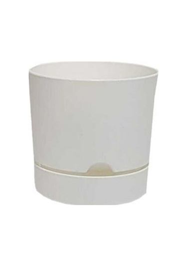 Polıwork Saksı Begonya 18 Cm Beyaz