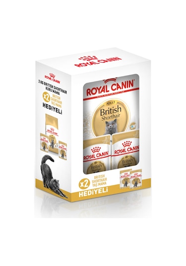 British Shorthair Yetişkin Kedi Maması 2 Kg 2 Adet Pouch Hediyeli