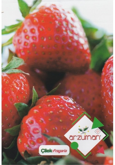 Arzuman Çilek Tohumu 100 Adet