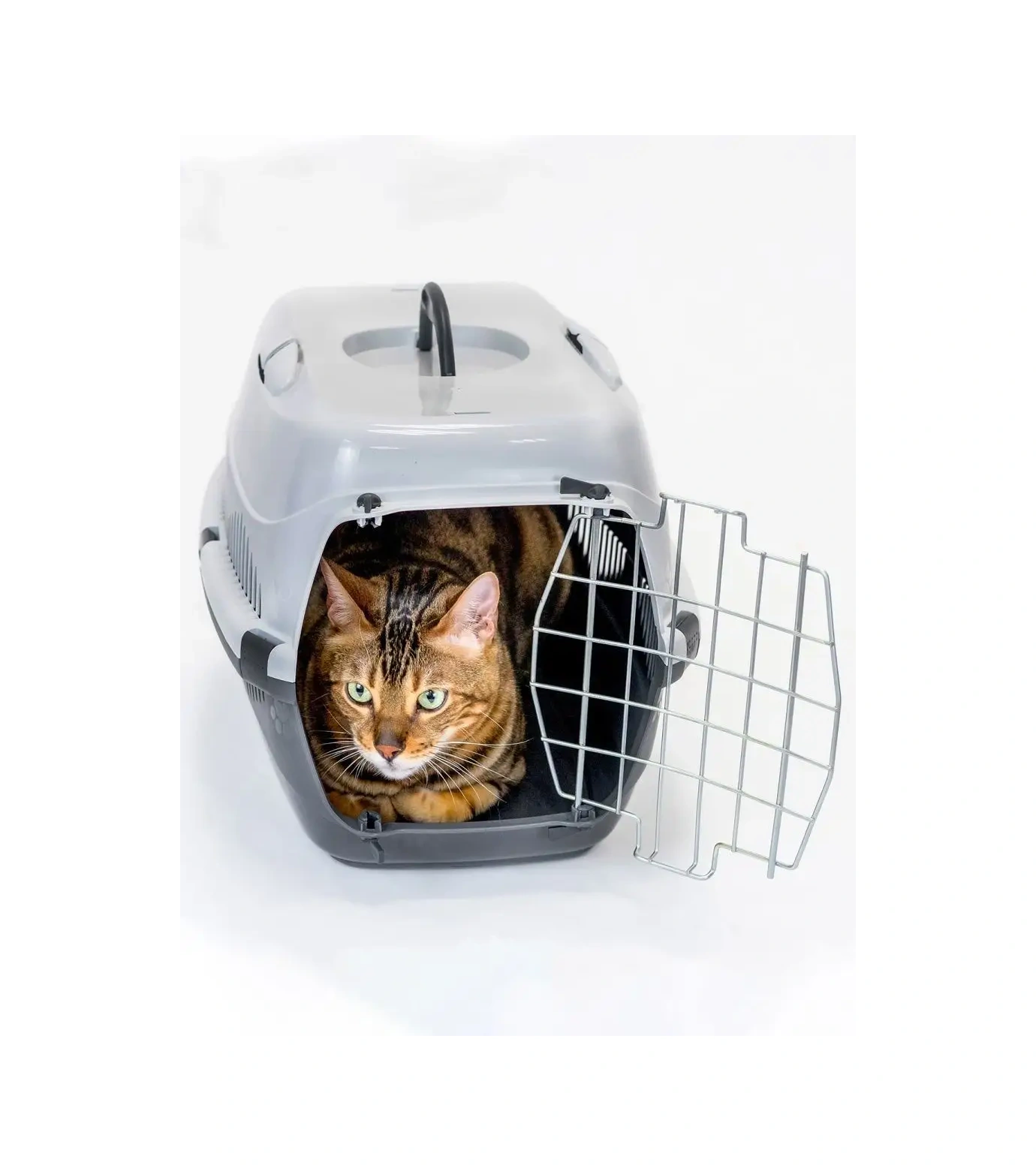 Pettails Plastik Kedi Taşıma Kafesi, Hayvanlar İçin Metal Kapılı 27566027