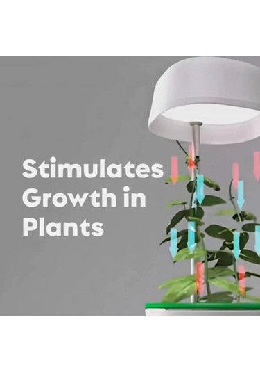 Hızlı Bitki Yetiştirme Saksısı - 9030757757651do