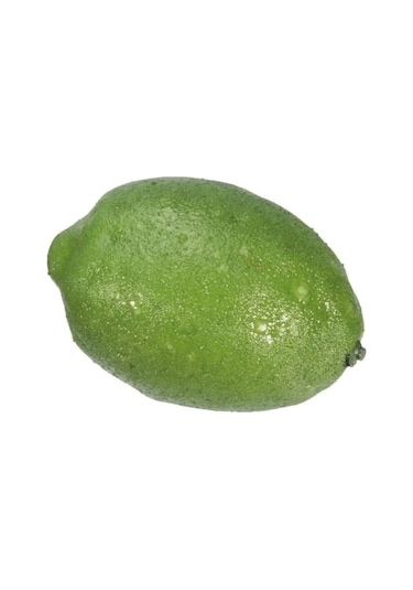 Rüzgar Çiçekcilik Yeşil Limon Yeşil