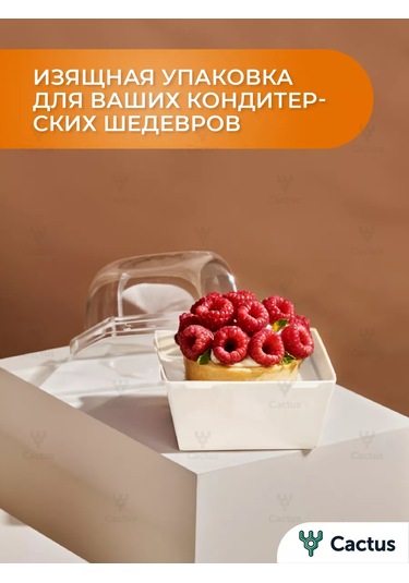 Cactus Bento Kutusu, Kek Kutusu 10 Cm, 10 Adet 254505675 100 adet