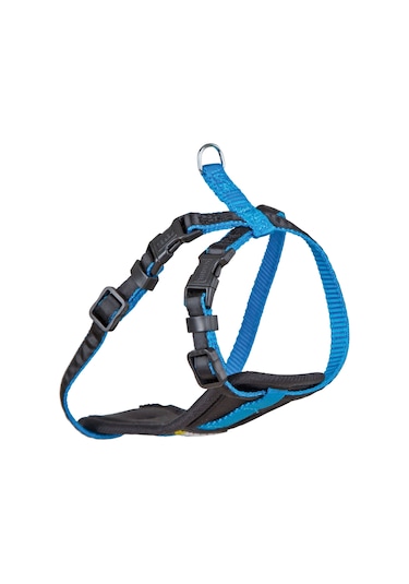 Küçük Köpek Tasması Small Dog Mavi 26 Cm - 38 Cm Xs Mavi