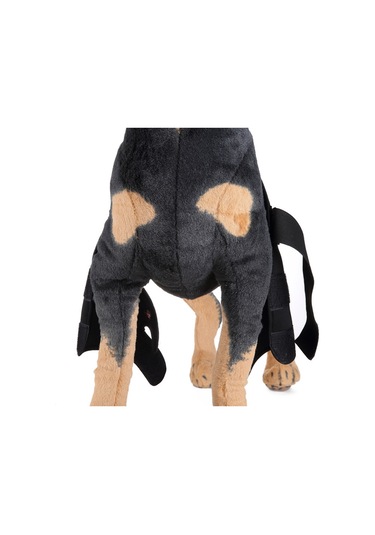 Homyl Köpek Diz Eklemi Desteği Ön Bacak Sıkıştırma Brace Koruyucu