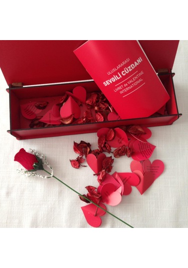 Dikdo Rtgen Figürlü Ahs Ap Hediye Kutusu