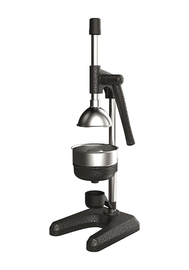 1701 Meyve Presi Industrıal Type Fruıt Press