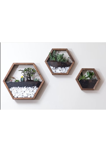 Tekli Ahşap Altıgen Duvar Saksısı (Kestane Rengi)