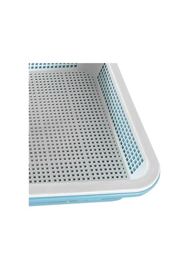 Trendooze 4 Adet Bahçe Filizleme Tepsisi Buğday Çimi Seti