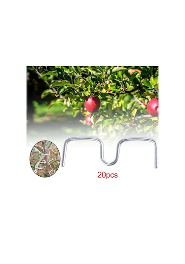 Suntek Meyve Ağacı Dalları 10 Cm Şekillendirme Için Uzun-10cm