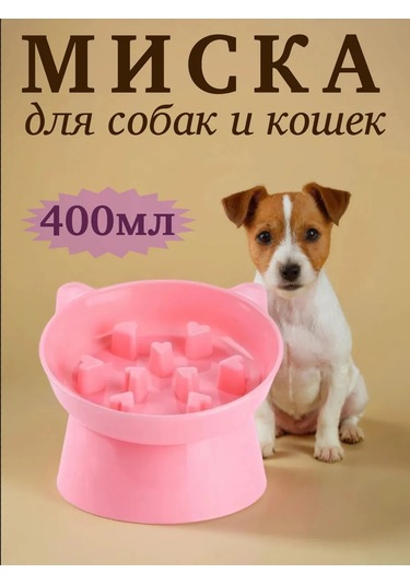 Vektorı Kedi Kabı 391740899